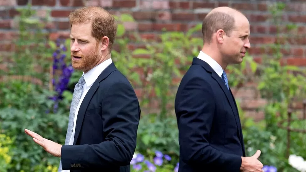 Prince Harry reveals Prince William physically attacked him
