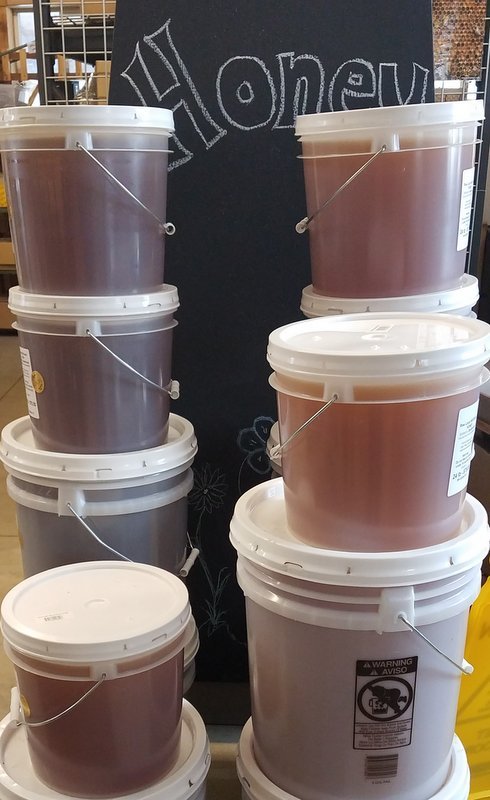 Seven Spanish speaking men held with 60, 5-gallon buckets of honey