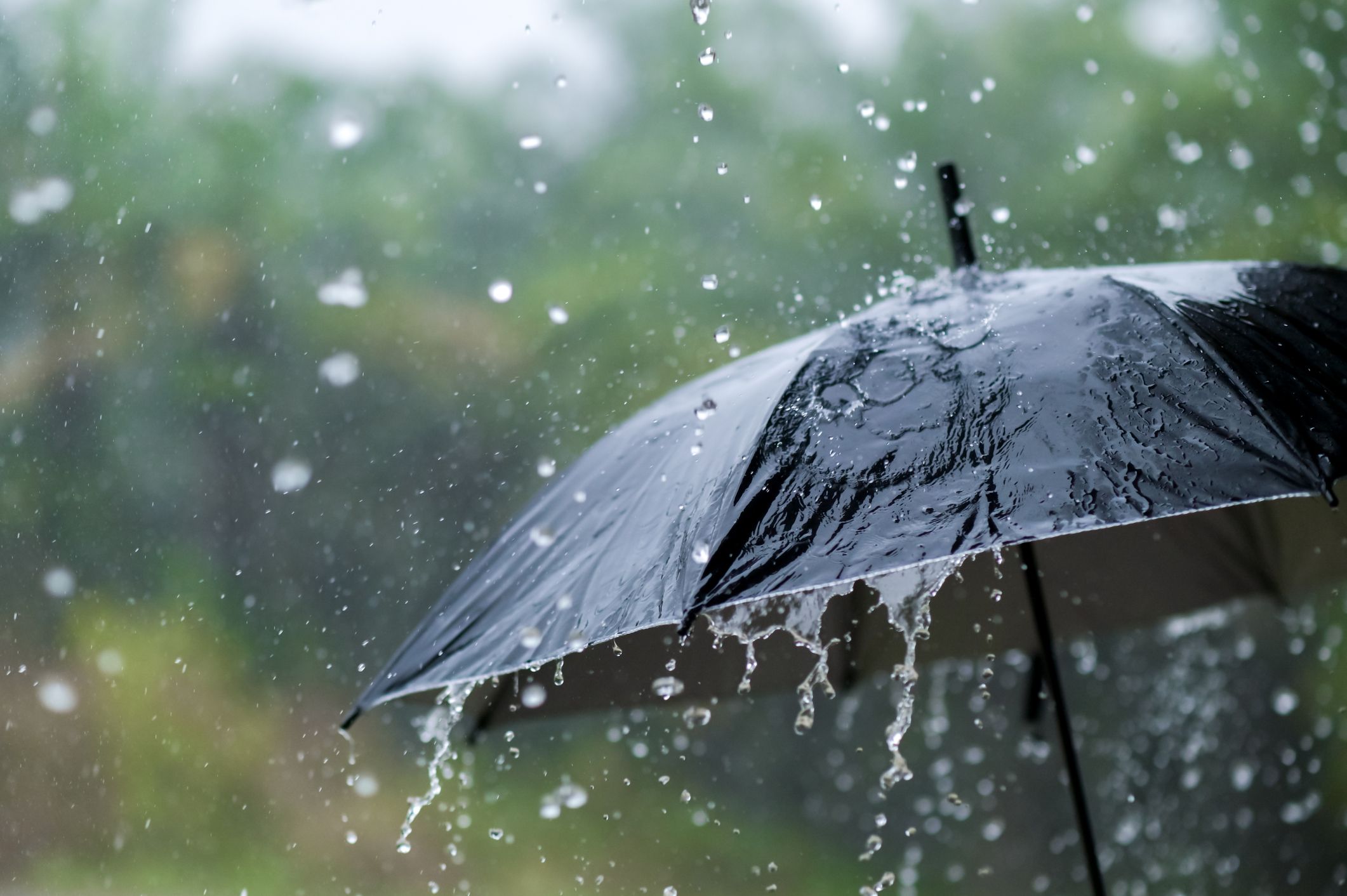 Don’t fret! It’s not rainy season just yet, says Met Service