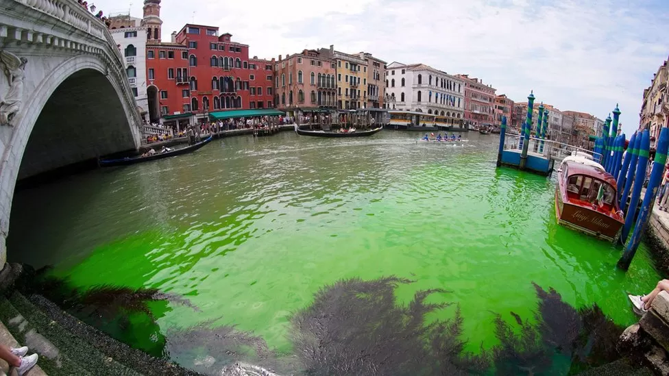 Venice canal patch turns fluorescent green