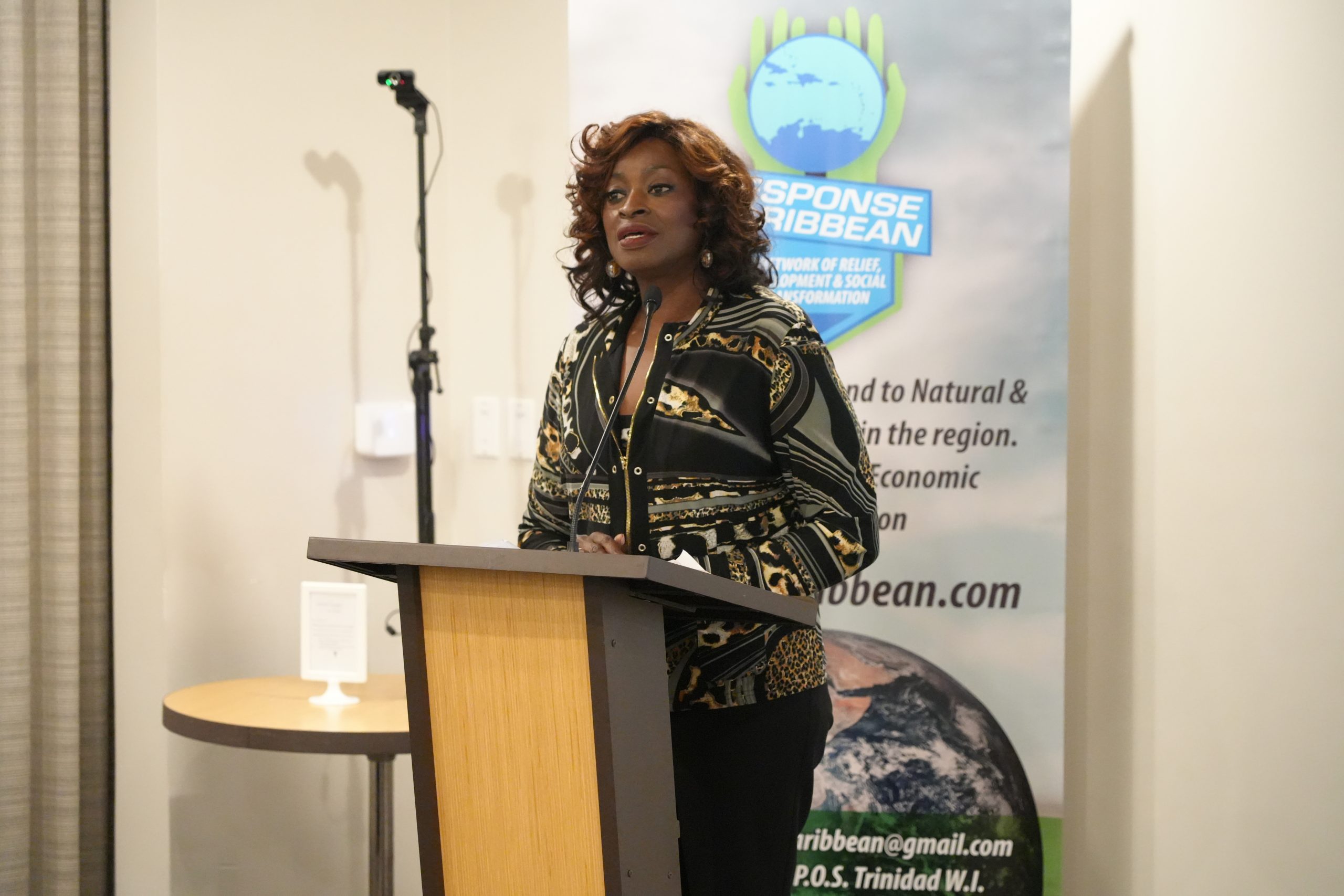 Minister Cox promotes collaboration for swifter disaster recovery