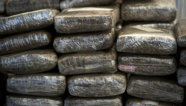 Millions in compressed marijuana seized in South Division