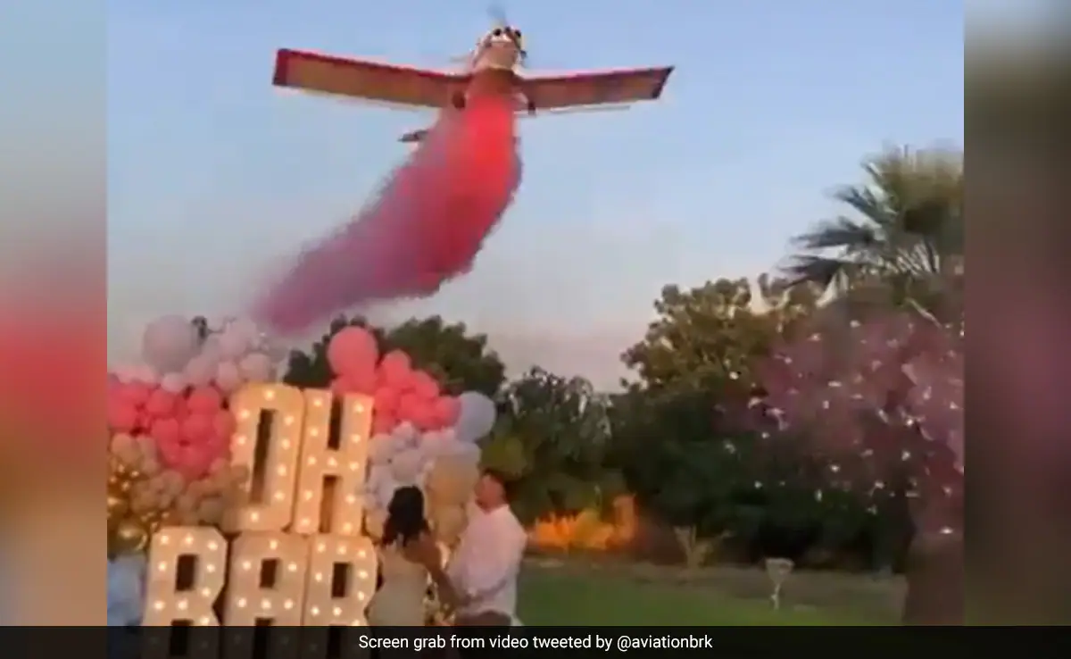 Gender reveal celebration ends tragically with fatal plane crash in Mexico