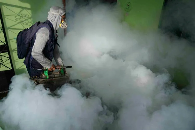 Argentina battles dengue surge and repellent shortage