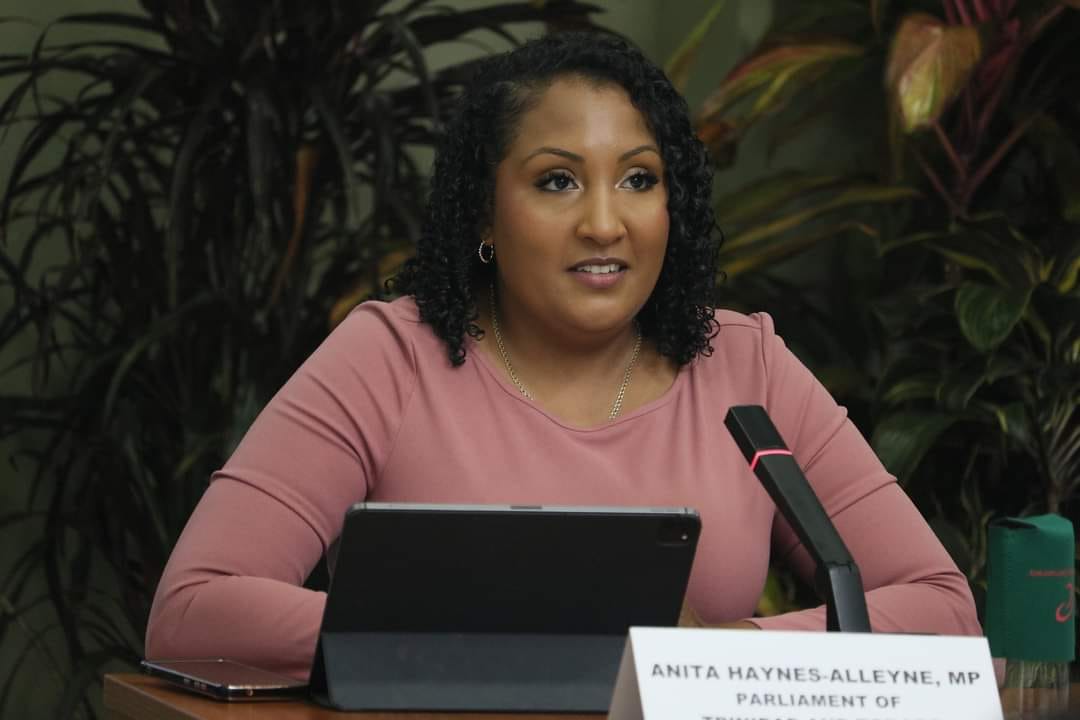 Haynes-Alleyne: Data shows large group of SEA students not ready to participate in secondary school