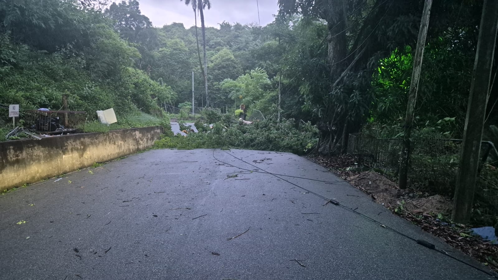 Fallen trees and power outages reported across several parts of Tobago