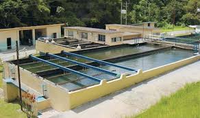 WASA: Several water treatment plants in Tobago and North Trinidad impacted by weather